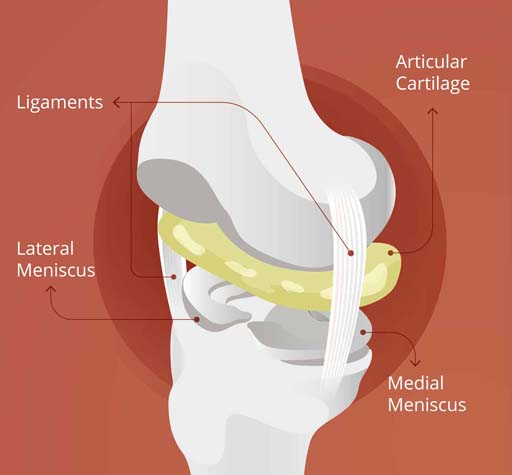 Meniscus Repair/ Balancing