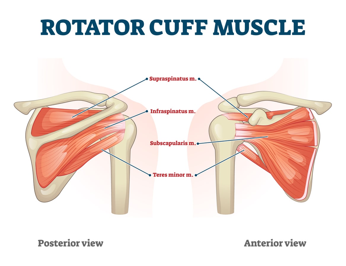 Best Rotator Cuff Injury Treatment Near Me in Chandigarh & Mohali