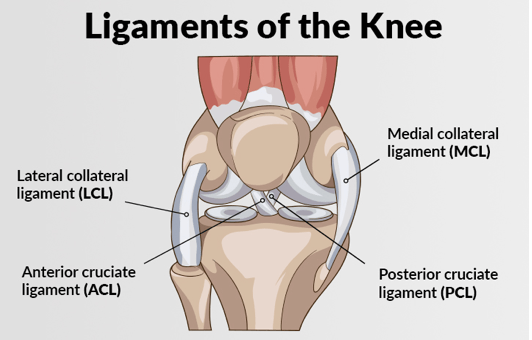 Expert Knee Ligament Injury Treatment in Chandigarh: A Comprehensive Guide