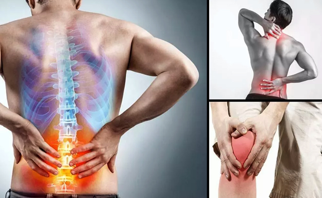 Top Orthopedic Solutions: Best Knee, Back, and Shoulder Specialist in Chandigarh