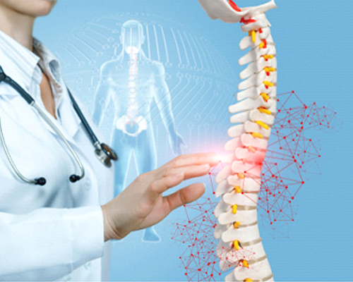 Spine Problems? Consult the Leading Spine Surgeon in Chandigarh Today
