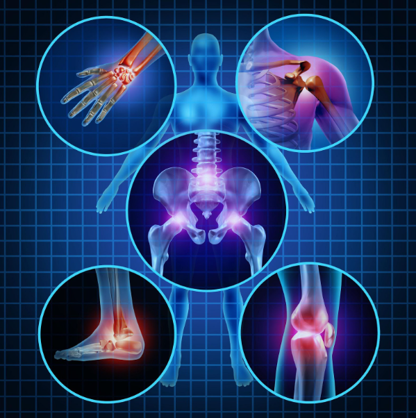 Patient-Centered Care by the Near Best orthopedic in Chandigarh Patient-Centered Care by the Near Best orthopedic in Chandigarh