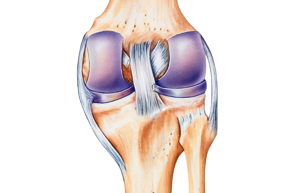 ACL, MCL, and More: Trusted Ligament Treatment by Specialists in Chandigarh